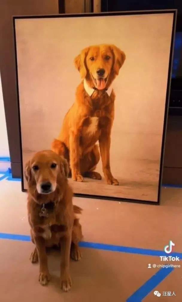 早期狗子爆料视频播放 第2张 早期狗子爆料视频播放 第2张